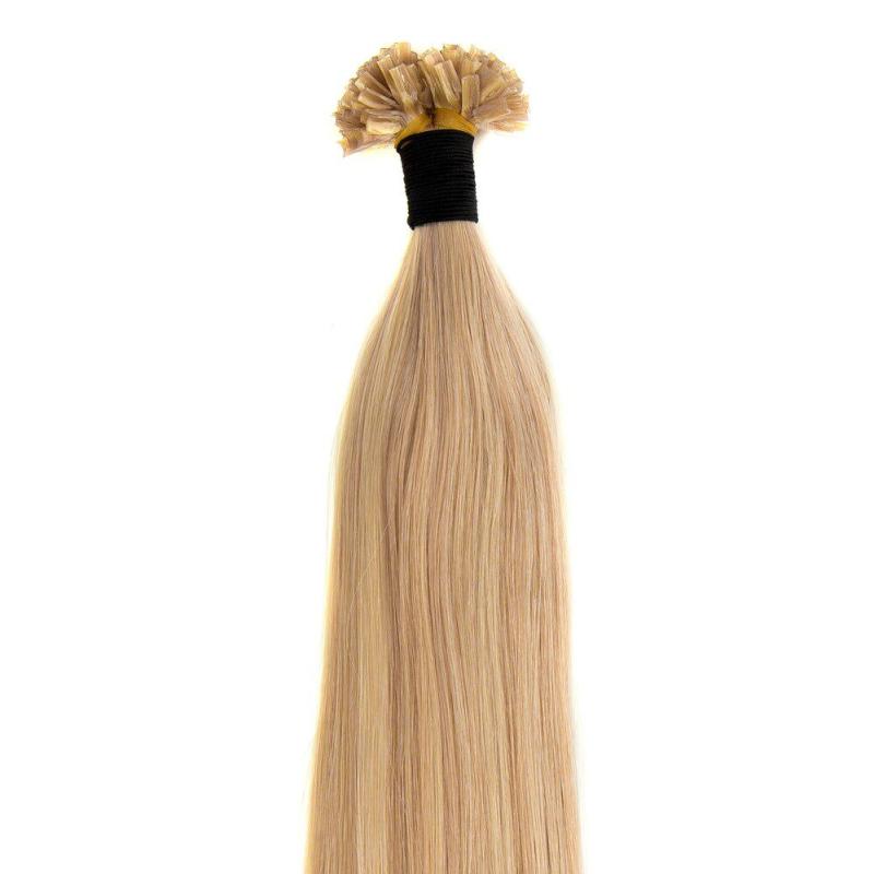 Hot Fusion Extensions   10 22