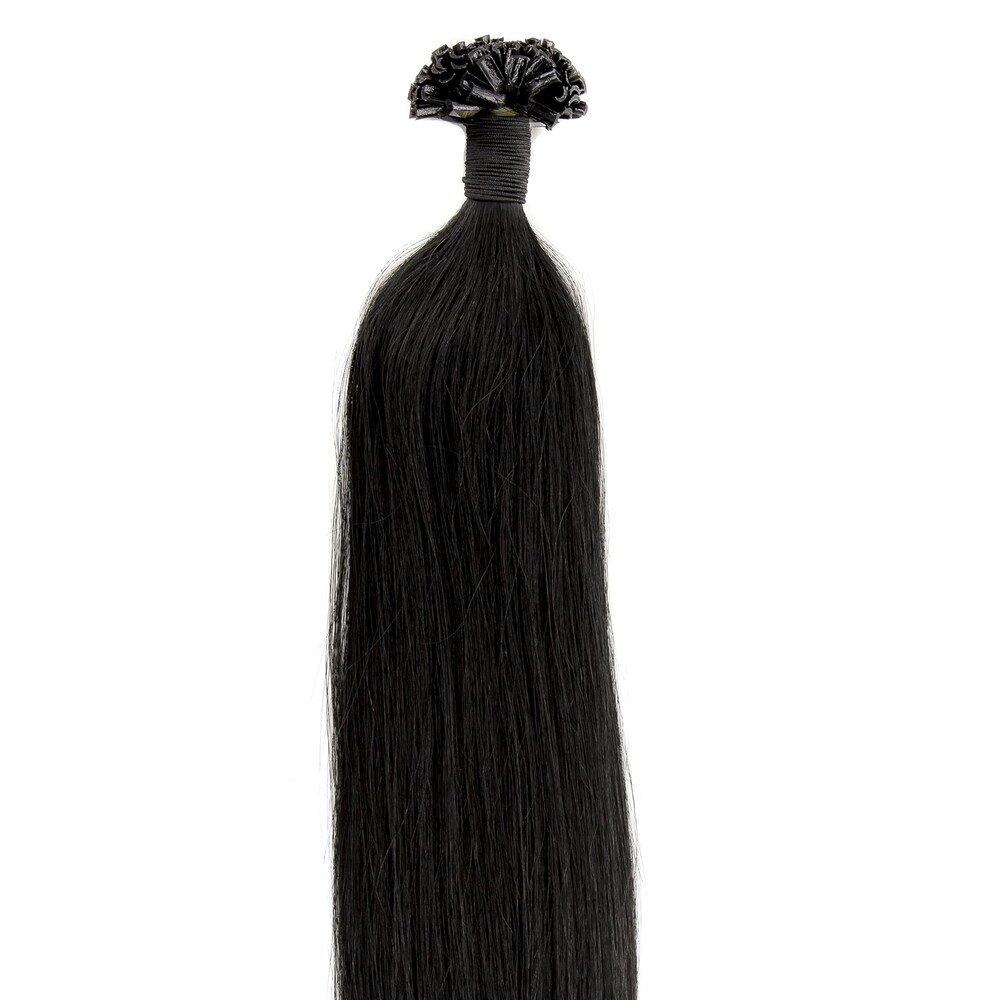 Hot Fusion Extensions   Sort  1